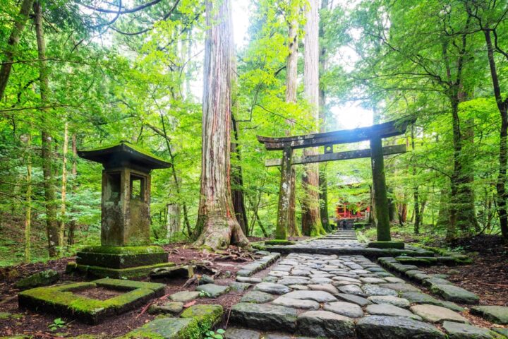 音信不通に効果のあるパワースポット！ご利益のある神社を紹介